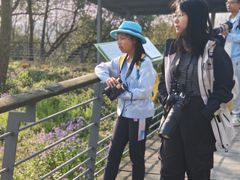 -西湖风景区-江洋畈生态公园