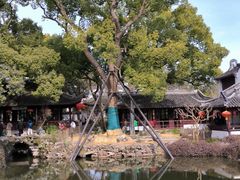 -上海醉白池公园