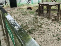 -苏州太湖西山岛开心农场