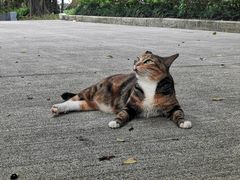 -荔香公园