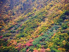 -叠溪松坪沟景区