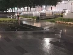 -大望路(地铁站)