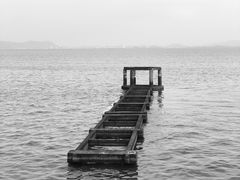 -贡湖湾湿地公园