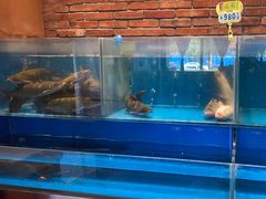 -洞庭鱼香(万科店)