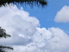 -南靖田螺坑土楼群景区