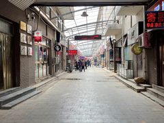-中环花鸟鱼虫市场