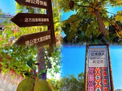 -西双版纳傣族园