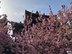 -西安青龙寺遗址景区