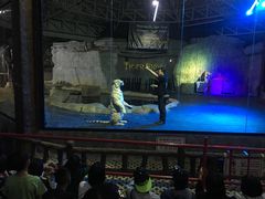 -清迈夜间动物园