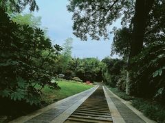 -菊花台公园