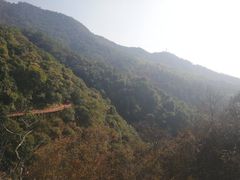 -大余丫山旅游度假区