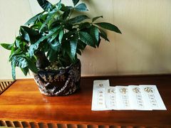 -中铁花水湾温泉酒店(大邑店)
