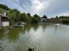 -春晖园度假酒店温泉