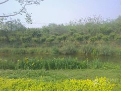 -白鹭湾湿地公园