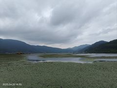 -腾冲北海湿地