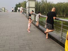 -廊坊文化艺术中心