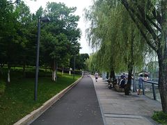 -宁波大剧院