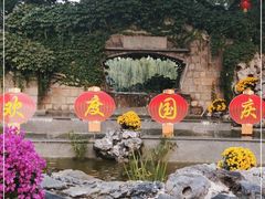 -团结湖公园