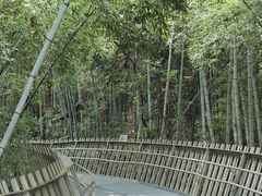 -福道