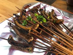 -晓靖轩烧烤(沙河风情店)