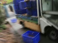 -成都大熊猫繁育研究基地-熊猫厨房