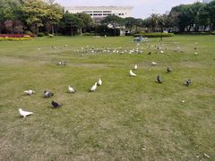 -白鹭洲公园