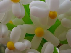 -蜀冈西峰生态公园