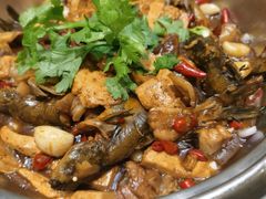 -向塘土鸡总店(八一广场店)