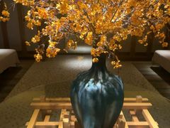 -浅深(北京北四环精品店)