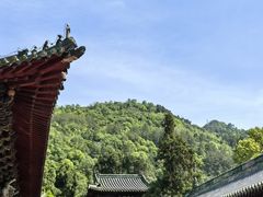 -报恩寺(平武县)