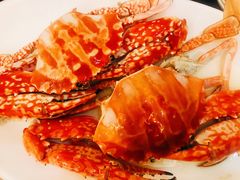 -欢乐海岸美食联盟