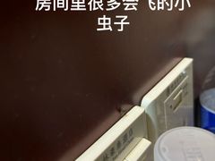 -格林豪泰酒店(苏州观前街平江路店)