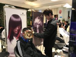 -京世沙龙