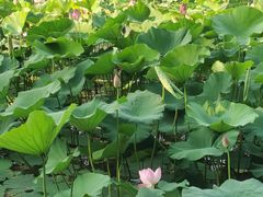 -云龙湖旅游景区