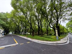 -中共上海市委党校 上海行政学院