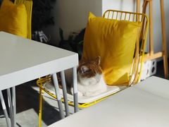 -五进制 Coffee Shop