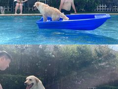 -汪说喵讲宠物乐园宠物酒店(红星美凯龙店)