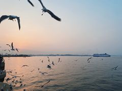 -大连海昌东方水城