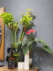 -影博莎美容美发形象设计中心