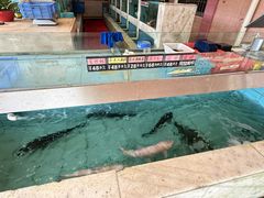 -金百门·顺德海鲜酒家(陈村店)