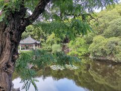 -叶家花园