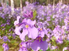 -白塘生态植物园