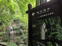 -川西竹海景区