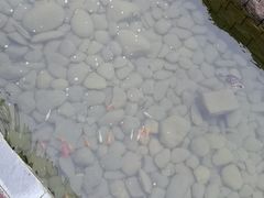 -南越王博物院(王宫展区)