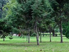 -二一九公园