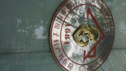 -复旦大学附属妇产科医院(杨浦院区)