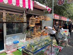 -哈尔滨道外花鸟鱼市场
