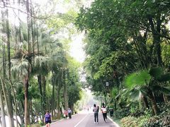 -南宁南湖公园