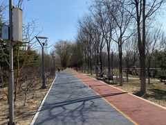 -大兴滨河森林公园