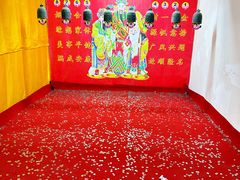 -亭林园-华藏寺